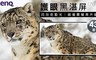 BenQ 明碁 8.1折! - 護眼黑湛屏大型液晶