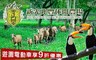 新光兆豐休閒農場 8.5折! - 與大自然同行享受綠意專案  (雙人價)