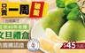 台南麻豆特級 5.4折! - 吉園圃認證正宗40年老欉文旦禮盒