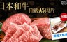 17LIFE 6.3折! - 日本頂級和牛霜降厚切肉片