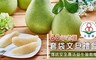 花蓮鶴岡 4.0折! - 正宗60年老欉套袋文旦禮盒