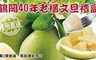 17LIFE 5.4折! - 花蓮鶴岡40年老欉文旦禮盒