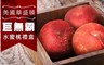 17LIFE 6.0折! - 巨無霸水蜜桃禮盒