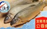 漁季 7.4折! - 宜蘭湧泉公香魚