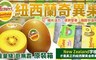 紐西蘭Zespri 6.3折! - GoldSun金圓頭黃金奇異果