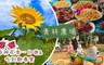 青林農場 6.7折! - 花季一日遊&洛神風味餐吃到飽
