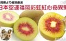 17LIFE 7.9折! - 日本空運福岡彩虹紅心奇異果