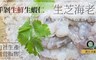 原川水產 8.9折! - 認證90%無腸泥手撥蝦仁