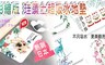 17LIFE 4.8折! - 彩繪珪藻土超吸水地墊