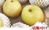 生活市集 4.7折! - 日本水梨之王鳥取縣水梨