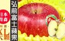 17LIFE 8.3折! - 日本青森特選XL大顆弘前富士蘋果禮盒