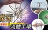 17LIFE 2.8折! - 魔術流體手環