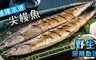 17LIFE 5.3折! - 基隆本港尖梭魚
