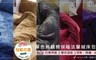 BEDDING 4.9折! - 單色無鋪棉法蘭絨單人床包＋枕套+被套