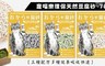 寵喵樂 5.2折! - 環保可分解芳香豆腐貓砂