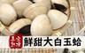 極鮮配 8.7折! - 鮮甜大白玉蛤