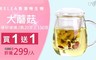 17LIFE 4.3折! - 耐熱玻璃泡茶杯
