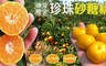 17LIFE 7.7折! - 鮮採多汁珍珠砂糖橘