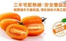 17LIFE 8.0折! - 美濃超人氣橙蜜香小蕃茄