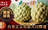 17LIFE 5.0折! - 台東正宗特級大目釋迦