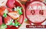 17LIFE 4.3折! - 台灣新鮮現採大湖香水草莓