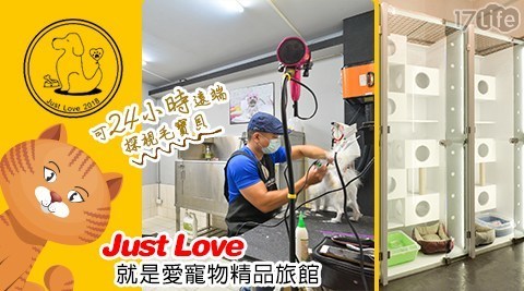 Just Love 就是愛寵物精品旅館 5.0折! - 毛寶瘋渡假