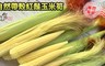 吃貨食間 7.6折! - 嚴選新鮮自然帶殼紅鬚玉米筍