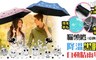 Kasan 4.8折! - 貓頭鷹降溫黑膠自動晴雨傘
