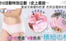 17LIFE 6.4折! - 純棉馬卡龍內褲夢幻禮盒組