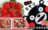 菓實屋 9.3折! - 超人氣熊本熊/長崎草莓禮盒