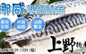 上野物產 5.3折! - 挪威薄鹽鯖魚片