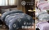 買一送一 1.7折! - 立體車縫100%抑菌羽絲絨被