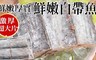 17LIFE 8.9折! - 厚實台灣白帶魚片