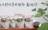 花伊朵 5.5折! - 回憶時光純黑糖塊