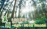 溪頭自然教育園區(教育中心) 6.0折! - 雙人房住宿乙晚
