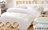 LooCa 5.4折! - 嚴選台灣製羊毛枕