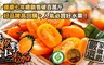 冬季地表最強的水果 3.3折! - 產銷履歷高雄美濃橙蜜香小蕃茄