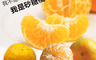 生活市集 5.1折! - 驚艷迷你蜜糖砂糖橘
