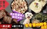 汪事如意 8.4折! - 五星寵物鮮食年菜組