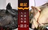 17Life 8.0折! - 九尾烏骨/土雞全雞雞湯