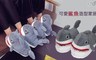 17LIFE 7.1折! - 可愛鯊魚造型拖鞋