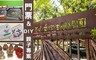 芝山文化生態綠園 6.3折! - 門票1張+手作DIY(創意拼貼)