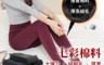 生活市集 3.1折! - 彈力厚底保暖絨毛內搭褲