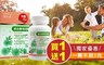加力活 6.4折! - 綜合酵母B群膠囊(66粒/盒)
