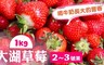 家購網嚴選 5.4折! - 大湖豐香草莓手提禮盒