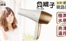大家源 6.1折! - 負離子吹風機 TCY-1608