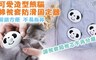 17LIFE 5.7折! - 第二代熊貓造型棉被套防滑固定器