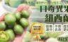 17LIFE 7.3折! - baby kiwi一口神奇寶貝奇異果