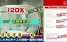 17LIFE 6.2折! - 彈開式加大加密防蚊帳