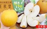 日本進口王秋梨 9.7折! - 晚秋の味覚王様-王秋梨(5顆/箱)
